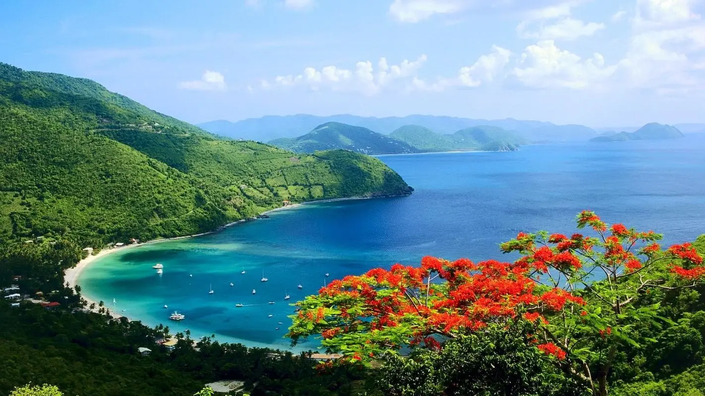自动化可靠性